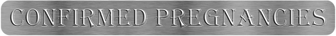 Confirmed Pregnancies